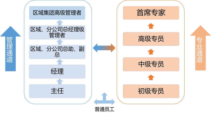 <p>区域集团高级管理者</p> <p> </p> <p>区域、分公司总经理级</p> <p>管理者</p> <p>区域、分公司总助、副</p> <p>总</p> <p>经理</p> <p>主任</p> <p>普通员工</p> <p>首席专家</p> <p>高级专员</p> <p>中级专员</p> <p>初级专员</p> <p>专业通道</p>
