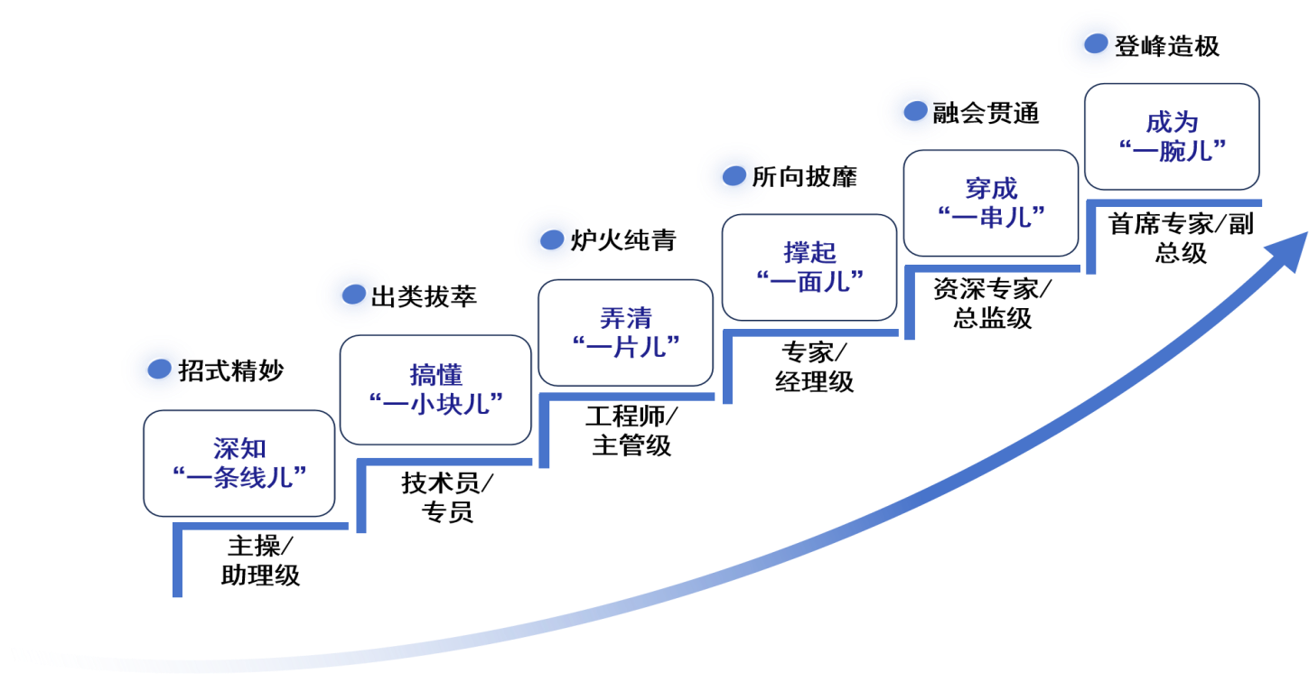 矢量图成为一腕儿