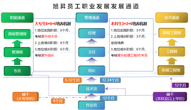 <p>旭昇员工职业发展发展通道</p> <p>职能通道</p> <p>管理通道</p> <p>技术通道</p> <p>大专生6+6+6培养机制</p> <p>本科生3+3+6培养机制</p> <p>1.岗位实践阶段:6个月,</p> <p>经理</p> <p>1.岗位实践阶段:3个月</p> <p>高级管理师</p> <p>高级工程师</p> <p>考核晋升技术员</p> <p>2.上岗培训阶段:3个月,</p> <p>2.上岗培训阶段:6个月</p> <p>定岗培养</p> <p>管理师</p> <p>3.岗位成长阶段:6个月,</p> <p>3.岗位成长阶段:6个月</p> <p>主任</p> <p>工程师</p> <p>考核晋升组长</p> <p>考核晋升助理工程师/专员</p> <p>专员</p> <p>组长</p> <p>助理工程师</p> <p>6-12个月</p> <p>12-24个月</p> <p>12个月</p> <p>技术员</p> <p>储干</p> <p>储干</p> <p>(大专学历)</p> <p>28E88888882888989990</p> <p>12个月</p> <p>6个月</p> <p>(本科及以上学历)</p> <p>作业员</p>