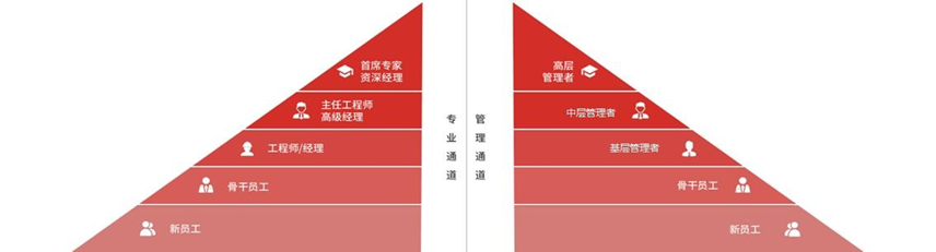 <p>首席专家高层,</p> <p>资深经理管理者</p> <p>品高级经理主任工程师专管中层管理者R</p> <p>业理</p> <p>立工程师经理基层管理者X</p> <p>通</p> <p>道道</p> <p>A骨干员工骨干员工A</p> <p>8新员工新员工温</p>
