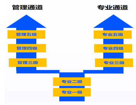 管理通道专业通道