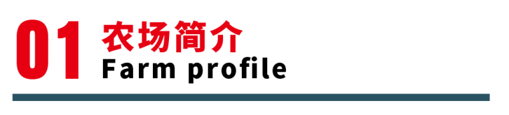 农场简介UFarmprofile