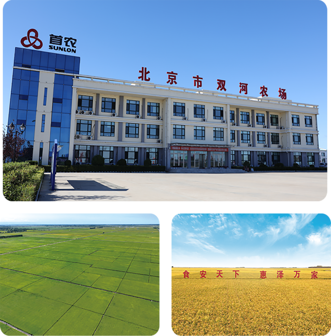 <p>首农</p> <p>SUNLON</p> <p>北京市双河农场</p> <p>食安天下</p> <p>惠泽万家</p>