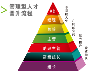 <p>管理型人才<br/>晋升流程</p> <p>总监</p> <p>经理</p> <p>总管</p> <p>主管<br/>助理主管<br/>高级组长</p> <p>组长</p> <p>幸樞的人生</p> <p>广阔的空间</p> <p>能力提升</p> <p>蘄資增长</p>