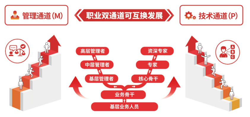 <p>品管理通道(M)职业双通道可互换发展》章。技术通道(P)</p> <p>(YE)高层管理者资深专家.iA</p> <p>中层管理者专家</p> <p>t</p> <p>基层管理者核心骨干之</p> <p>业务骨干</p> <p>基层业务人员</p>