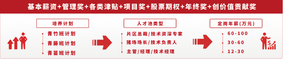 <p>青竹班计划片区总裁/技术资深专家60-100</p> <p>青藤班计划猪场场长/技术负责人30- 60</p> <p>青苗班计划主管/经理/技术经理12-30</p>  <table> <tr><td colspan="3">基本薪资+管理奖+各类津贴+项目奖+股票期权+年终奖+创价值贡献奖</td> </tr> <tr><td>培养计划</td> <td>人才池类型</td> <td>定岗年薪(万元)</td> </tr> </table>
