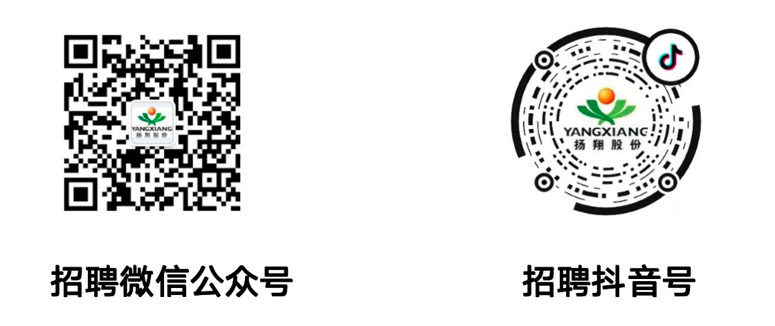 <p>YANGXIANG</p> <p>扬翔股</p> <p>招聘微信公众号</p> <p>招聘抖音号</p>